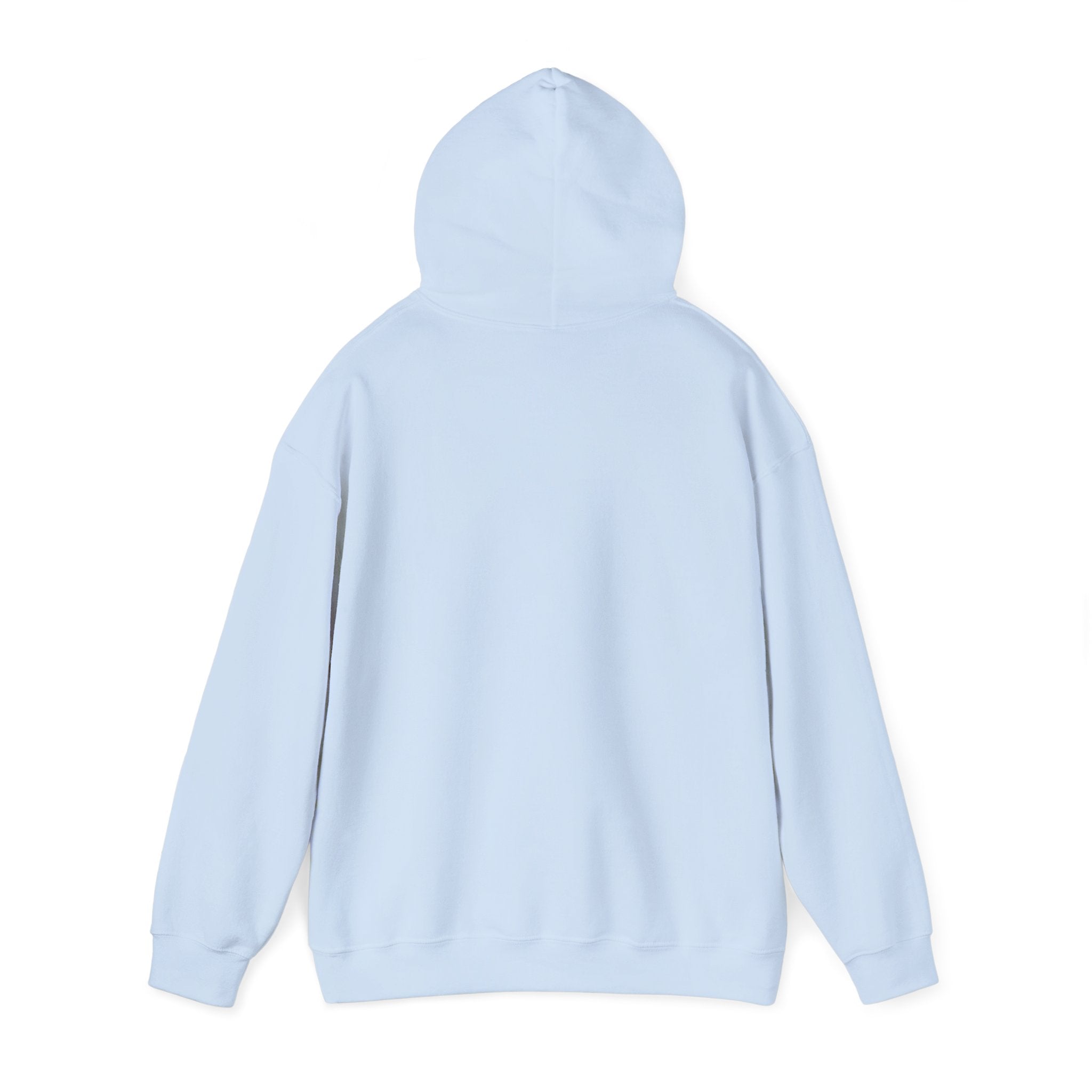 Hoodie — "Not My Problem Right Now" Bear Cartoon Graphic Hoodie