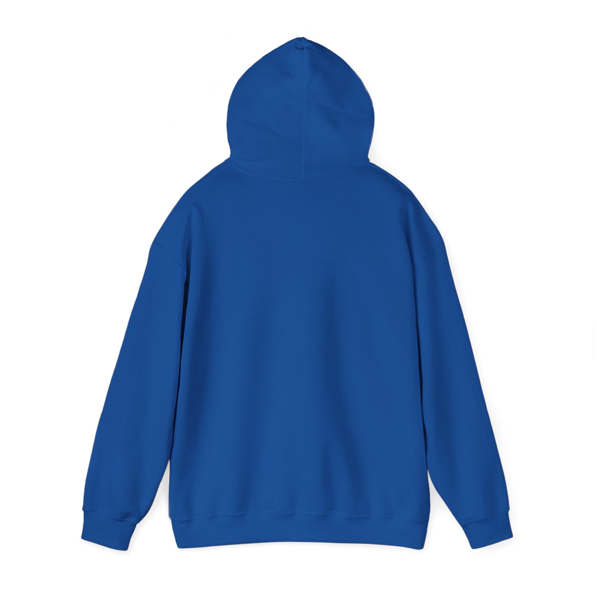 Hoodie — "Not My Problem Right Now" Bear Cartoon Graphic Hoodie