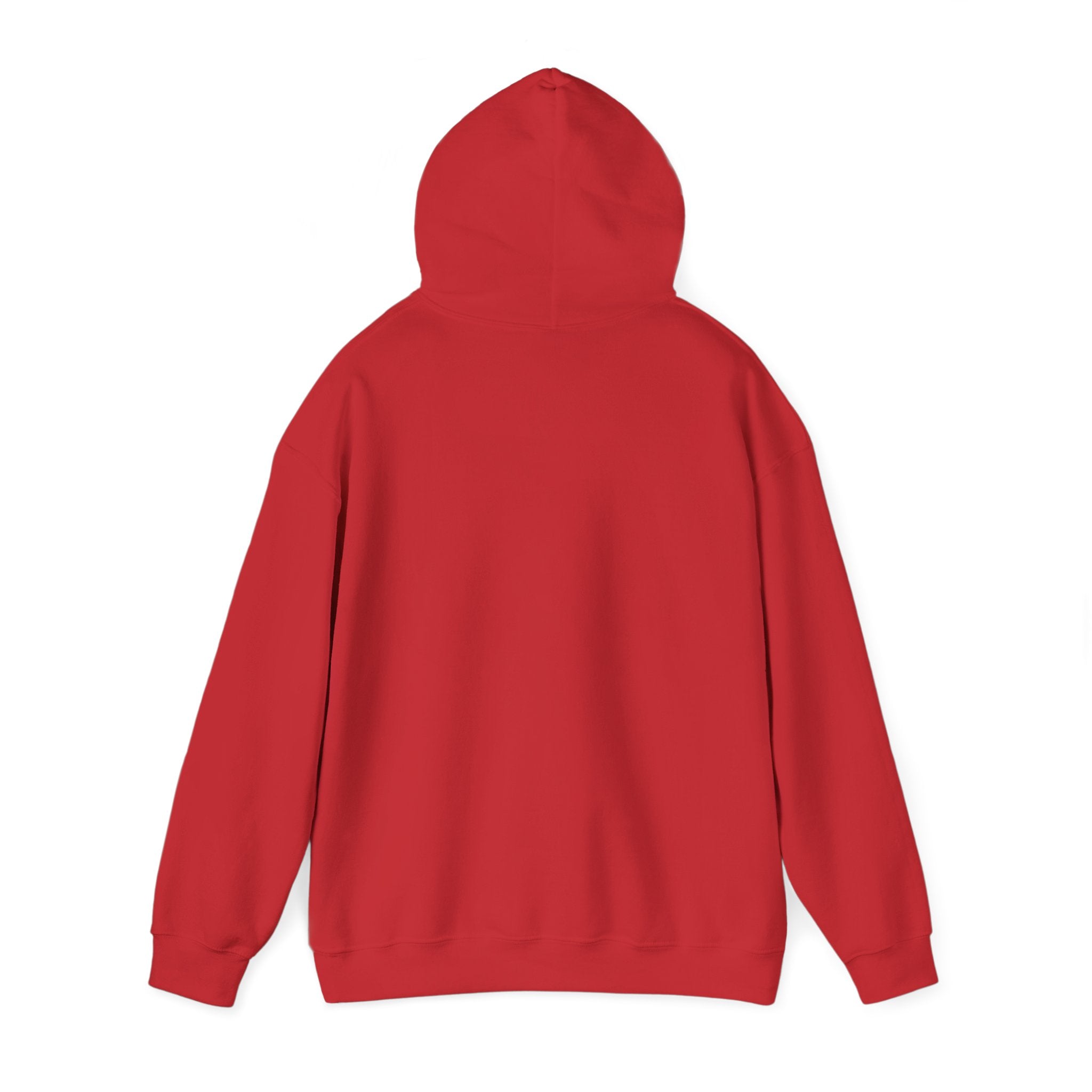Hoodie — "Not My Problem Right Now" Bear Cartoon Graphic Hoodie