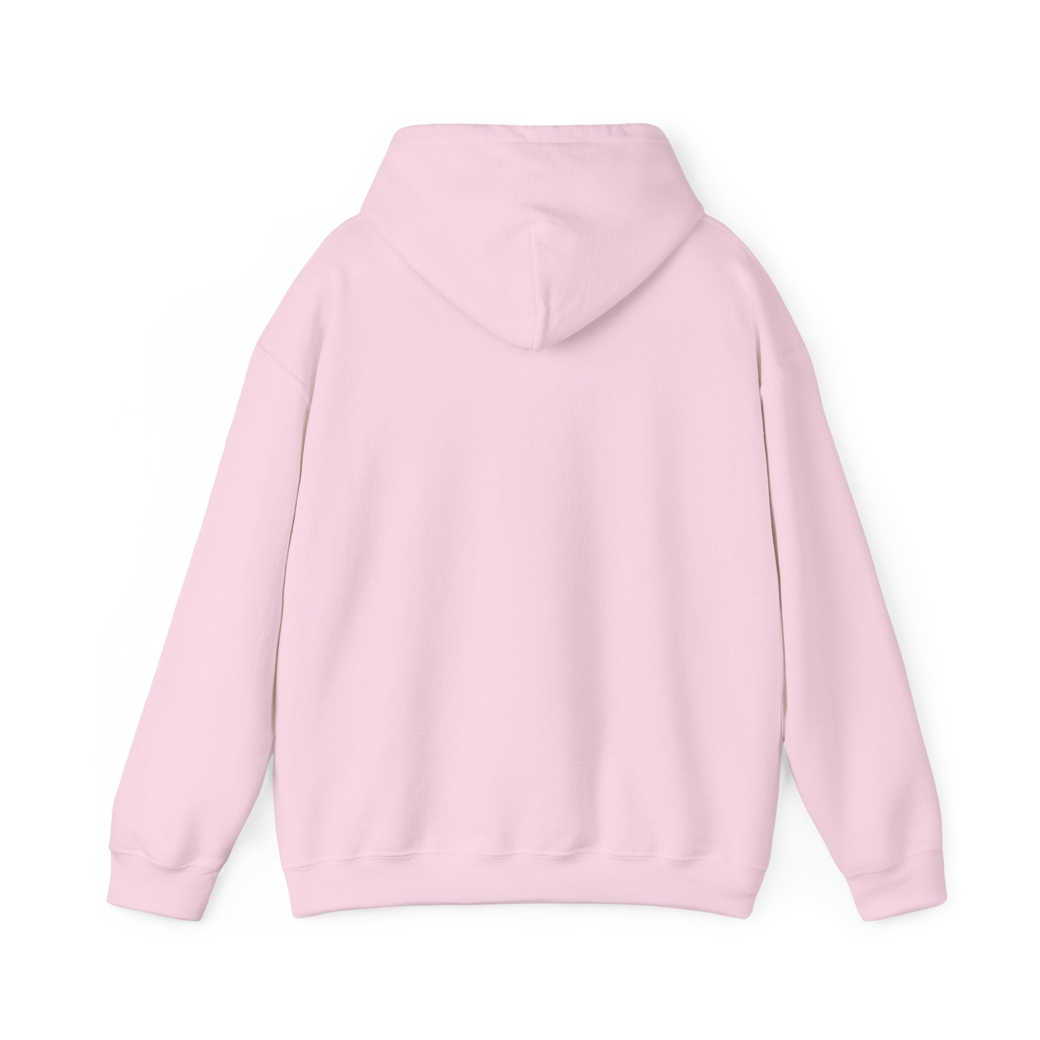 Hoodie — "Not My Problem Right Now" Bear Cartoon Graphic Hoodie